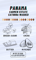 Panama Carmen Estate Caturra Washed coffee bean fresh roasted by Studio Caffeine
