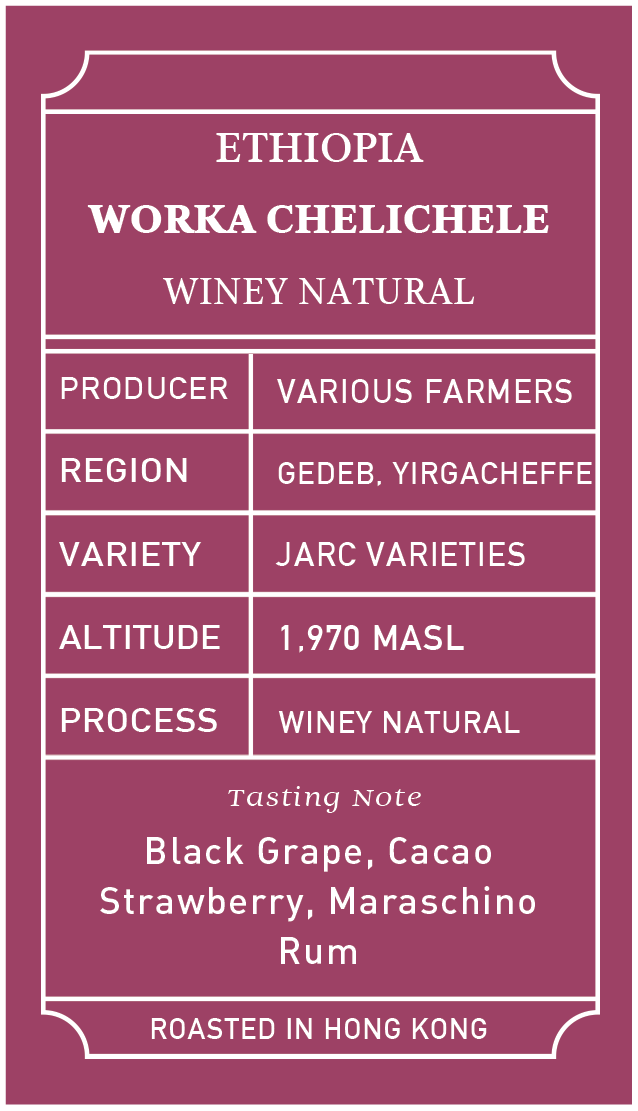 Ethiopia Yirgacheffe Worka Chelichele Winey Natural