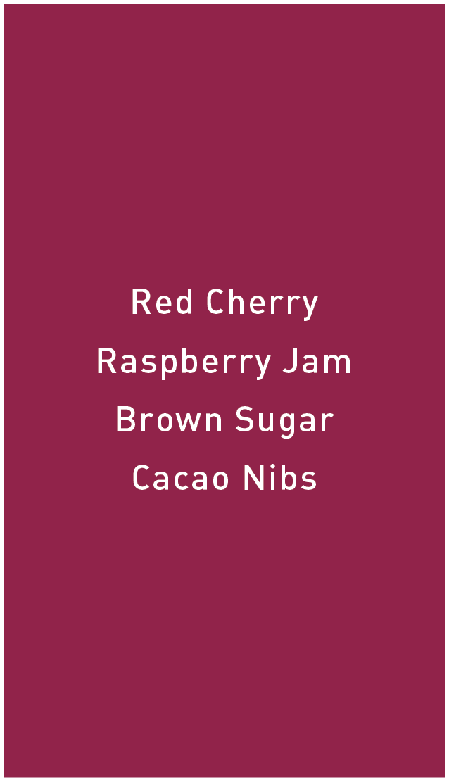 Costa Rica La Union Catuai Natural