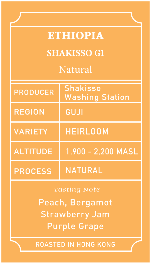 Ethiopia Shakisso G1 Natural