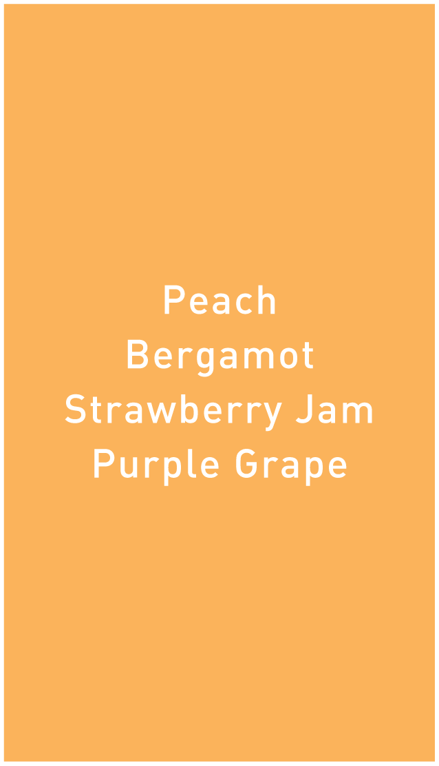 Ethiopia Shakisso G1 Natural