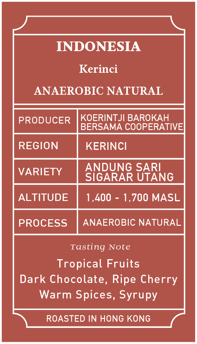 Indonesia Kerinci Anaerobic Natural