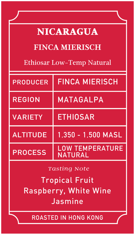 Nicaragua Finca Mierisch La Huella Ethiosar Low Temperature Natural
