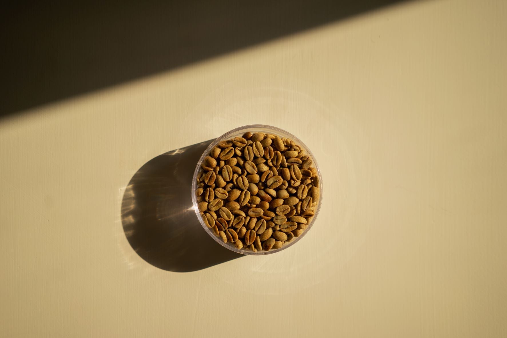 green coffee bean