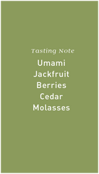 Green Studio Caffeine Roastery tasting notes card with umami, jackfruit, berries, cedar, molasses