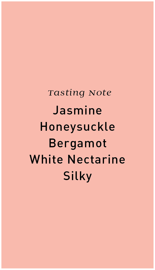 Peru Finca Perdida Geisha Washed