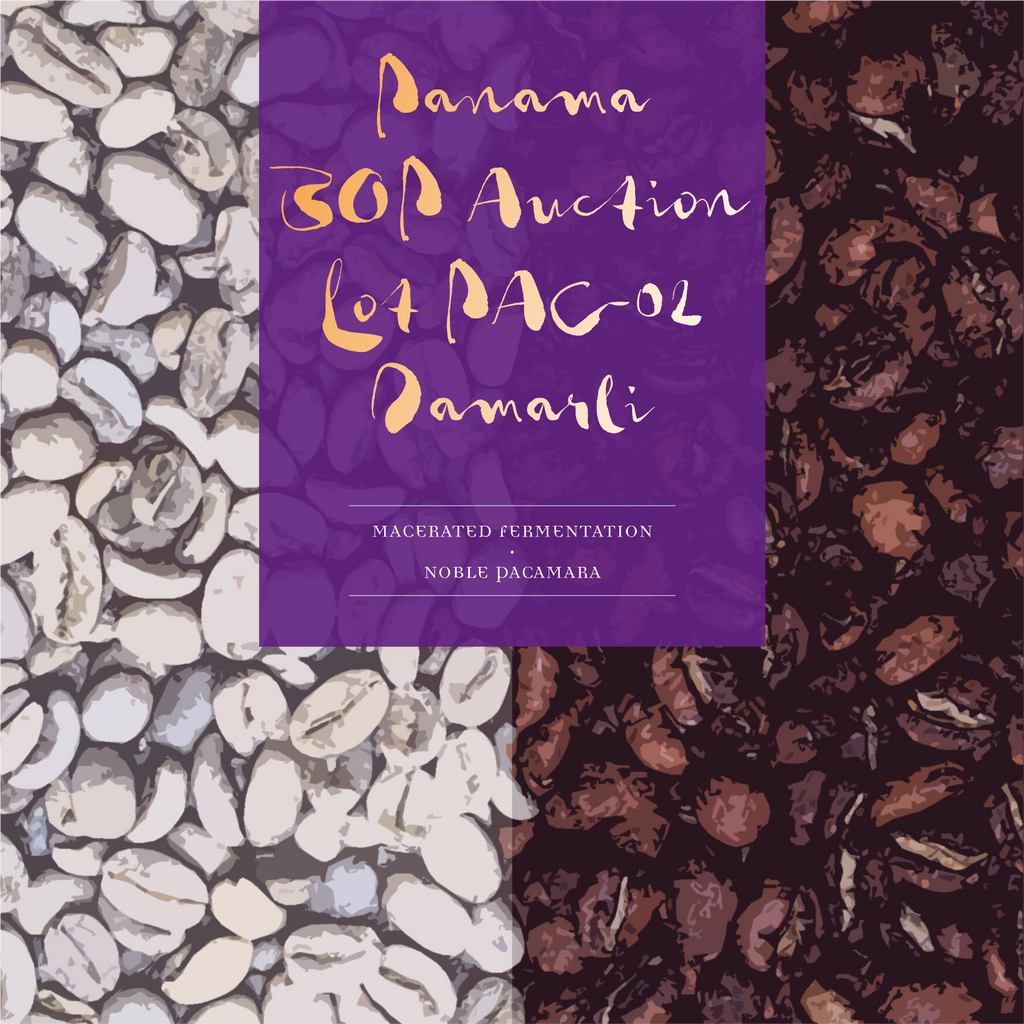 Panama Damarli Estate Noble Pacamara Macerated Fermentation
