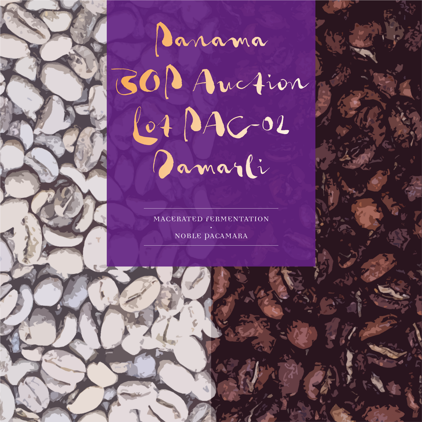 ปานามา Damarli Estate Noble Pacamara การหมักแบบหมัก