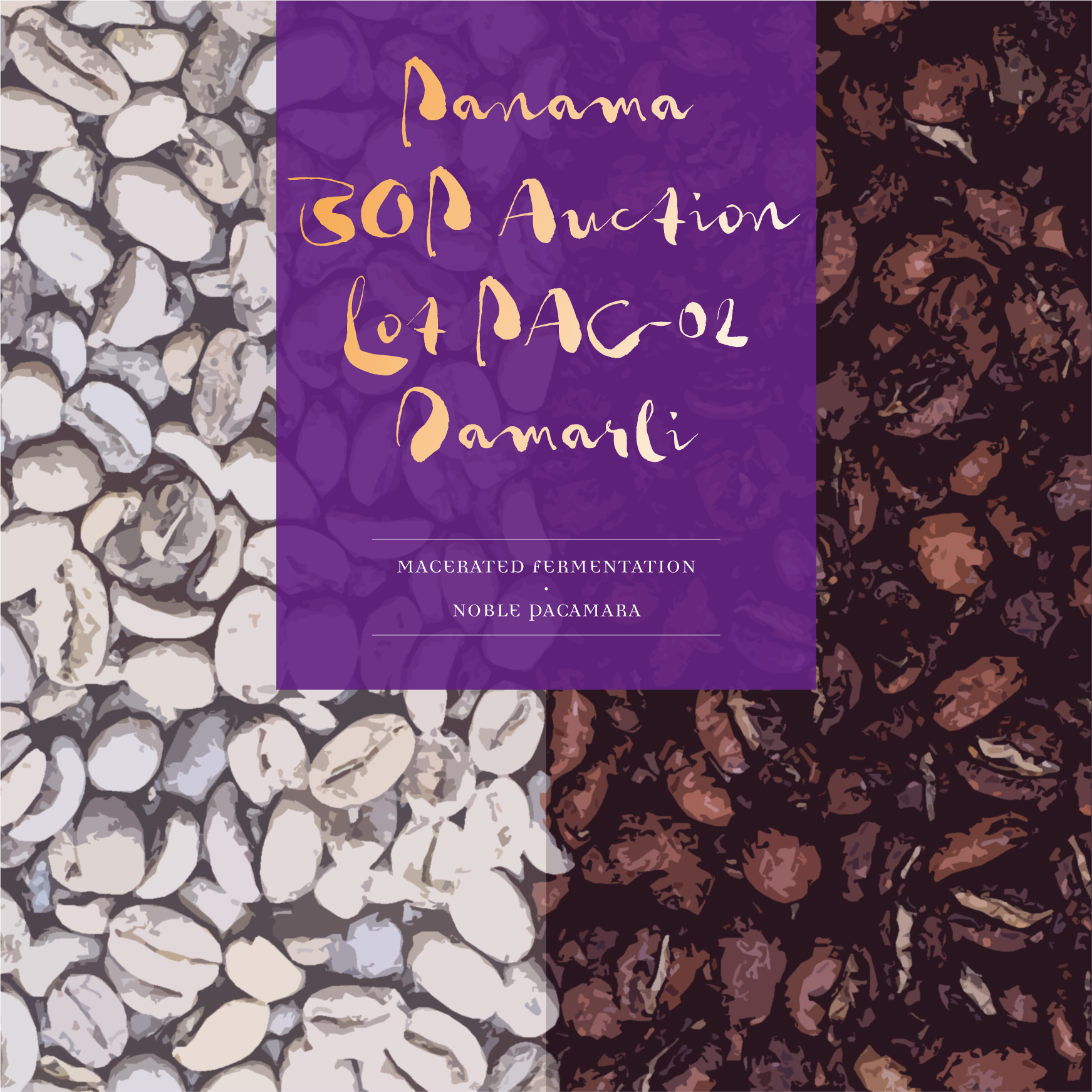ปานามา Damarli Estate Noble Pacamara การหมักแบบหมัก