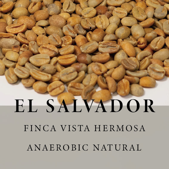 [Green] El Salvador Finca Vista Hermosa Caturra Anaerobic Natural