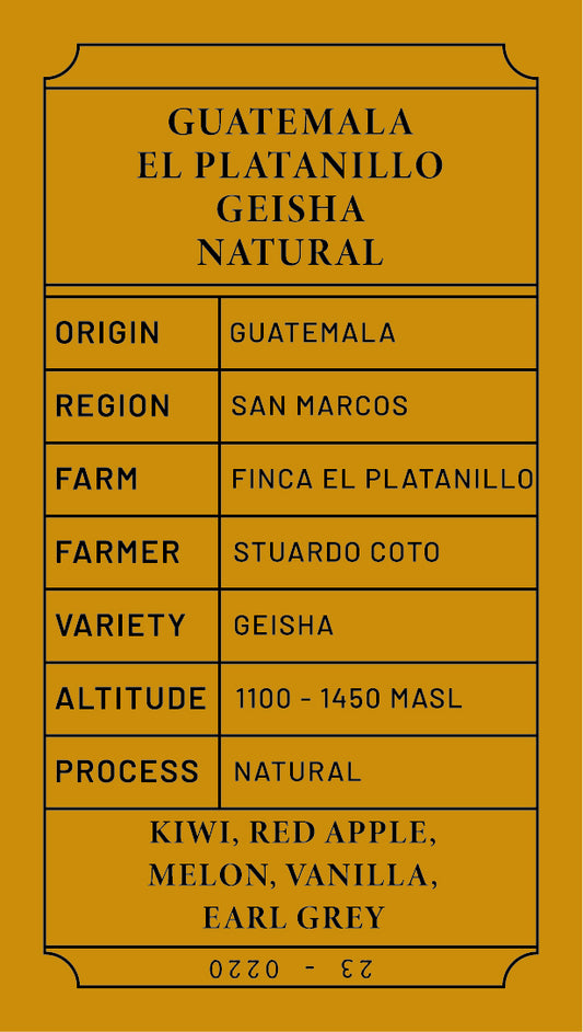 กัวเตมาลา ซานมาร์คอส เอล ปลาตานิลโล เอลมิราดอร์ เกอิชา ธรรมชาติ