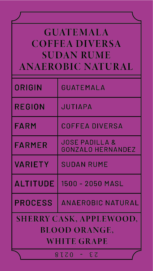 Guatemala Coffee Diversa Sudan Rume Anaerobic Natural