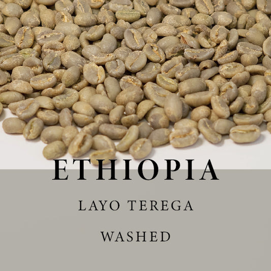[สีเขียว] เอธิโอเปีย Guji Uraga Layo Terega Gr.1 ล้างแล้ว 