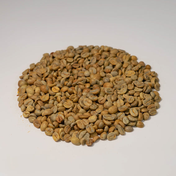 [Green] Guatemala Coffee Diversa Sudan Rume Anaerobic
