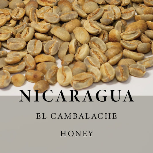 [Green] Nicaragua COE 2022 #7 - El Cambalache Maracaturra Honey
