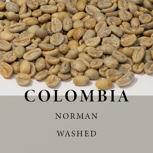 [Green] Colombia Norman Geisha Fully Washed