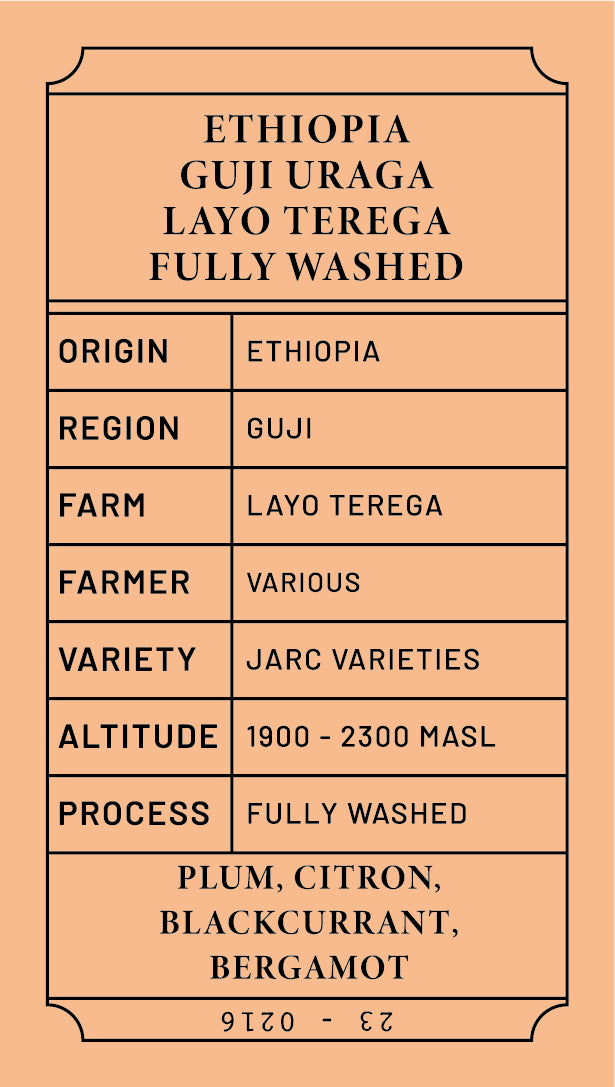 Ethiopia Guji Uraga Layo Terega Gr.1 Washed