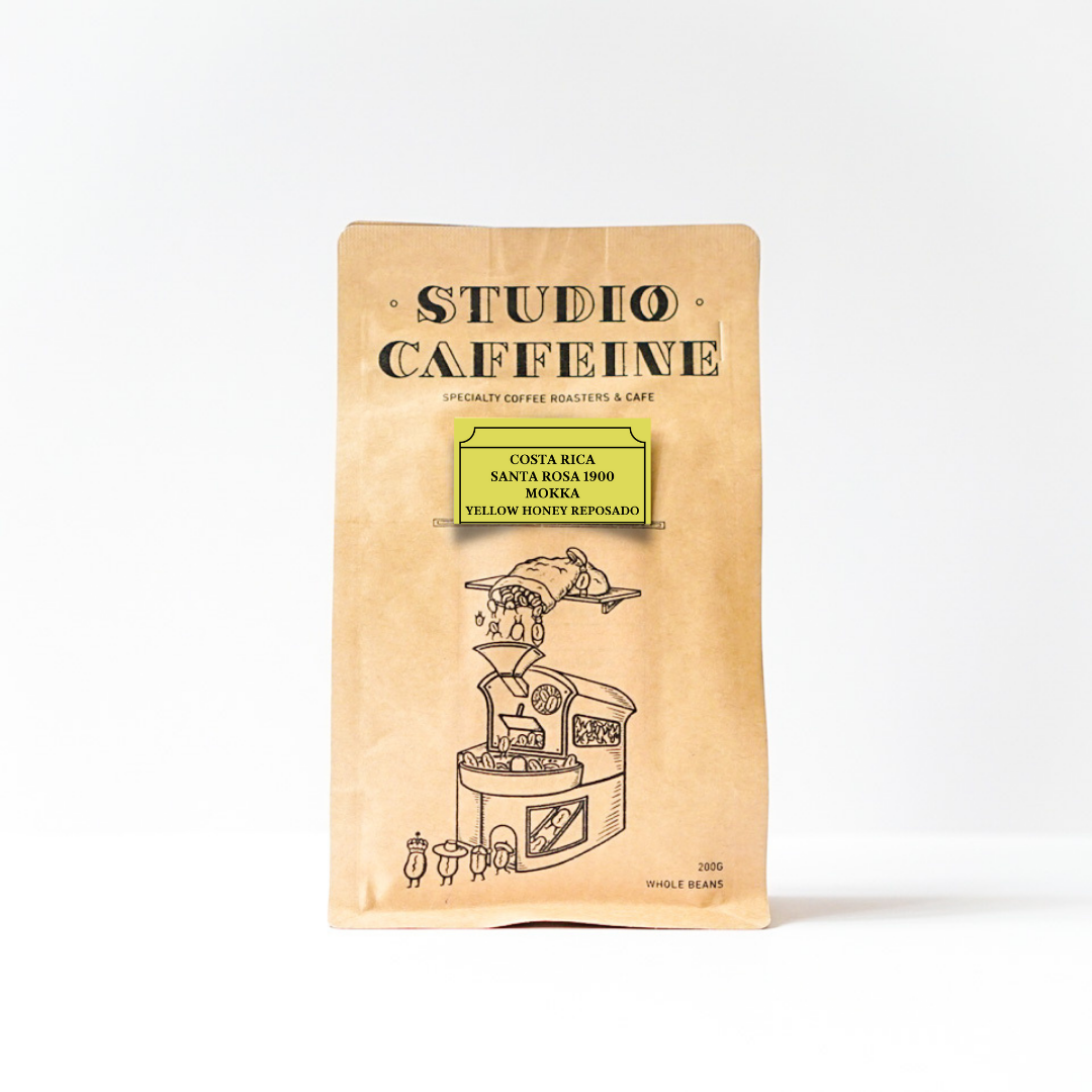 คอสตาริกา Tarrazu Santa Rosa 1900 Mokka Yellow Honey Reposado