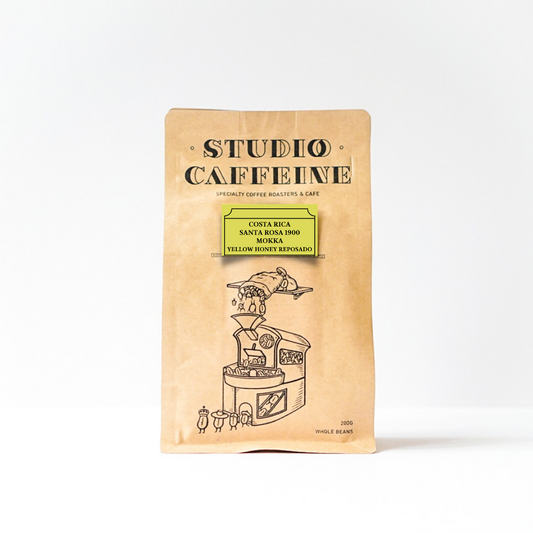 คอสตาริกา Tarrazu Santa Rosa 1900 Mokka Yellow Honey Reposado