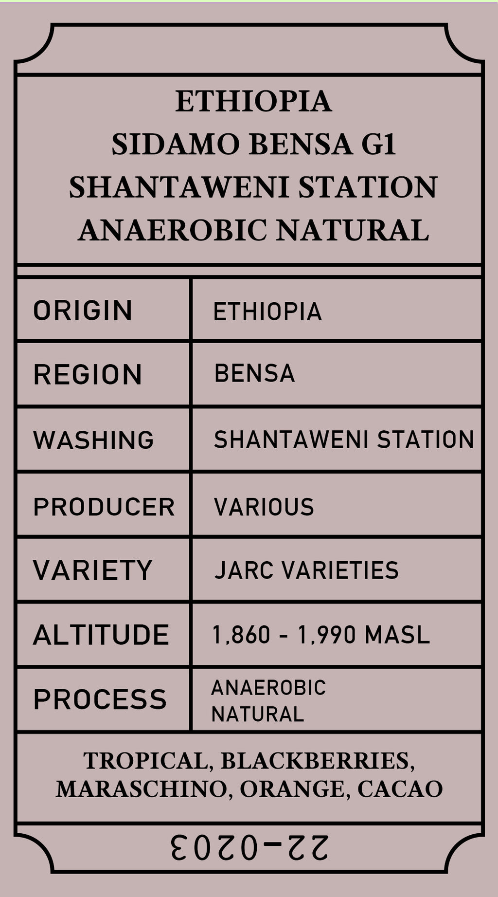 Ethiopia Bensa Anaerobic
