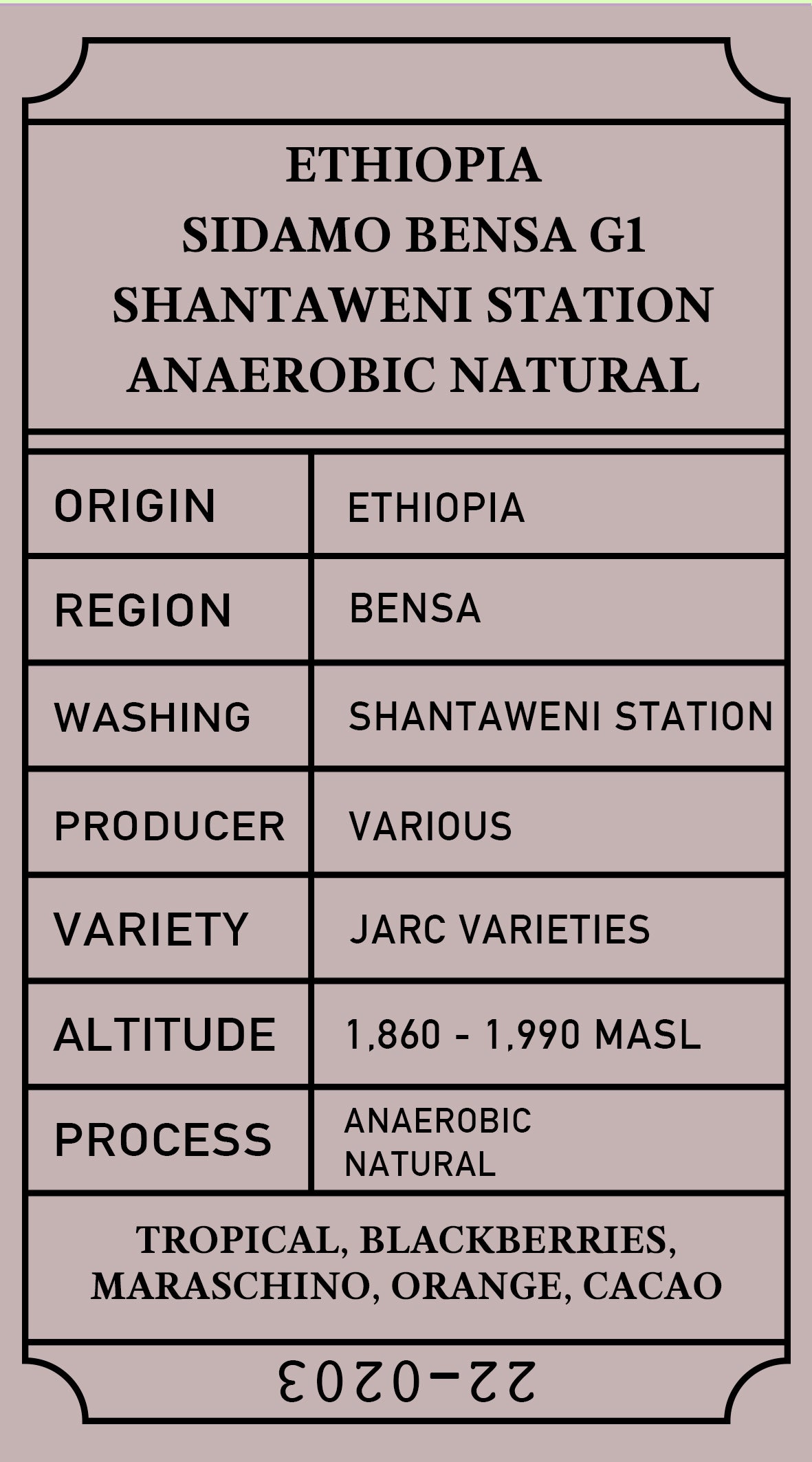 Ethiopia Bensa Anaerobic