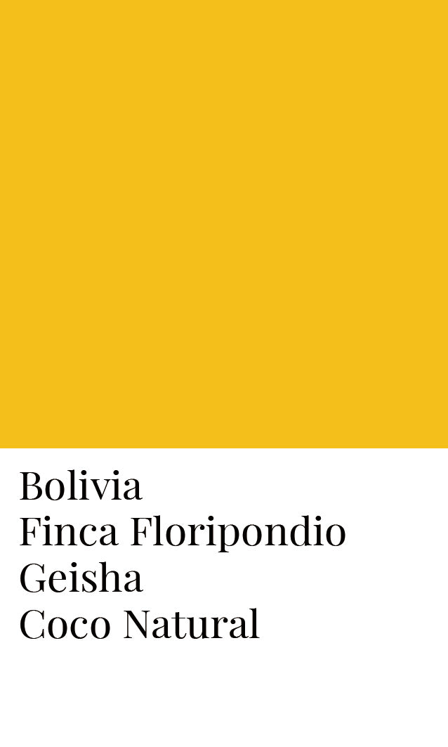 โบลิเวีย Finca Floripondio Coco Natural Geisha