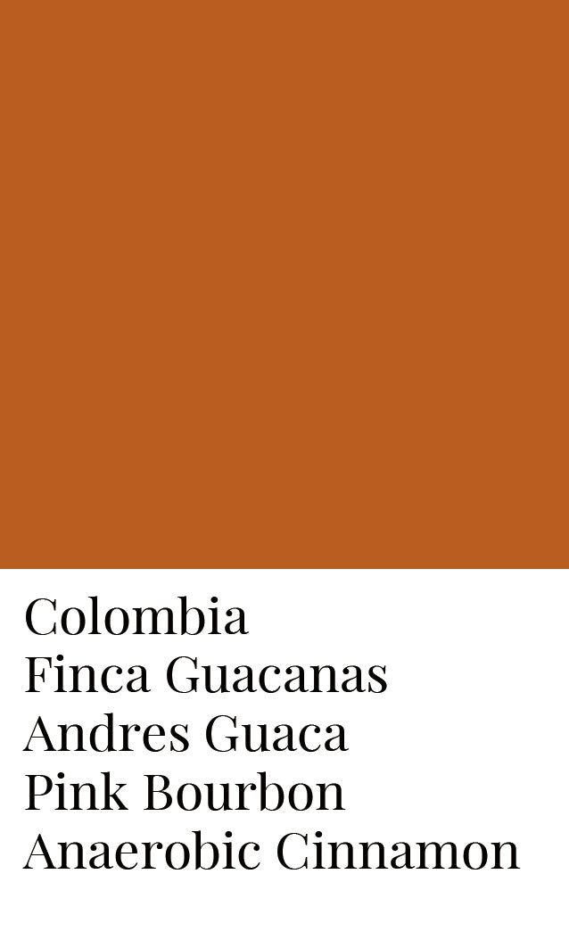 ล็อต "อบเชย" - โคลัมเบีย Andres Guaca Pink Bourbon Honey