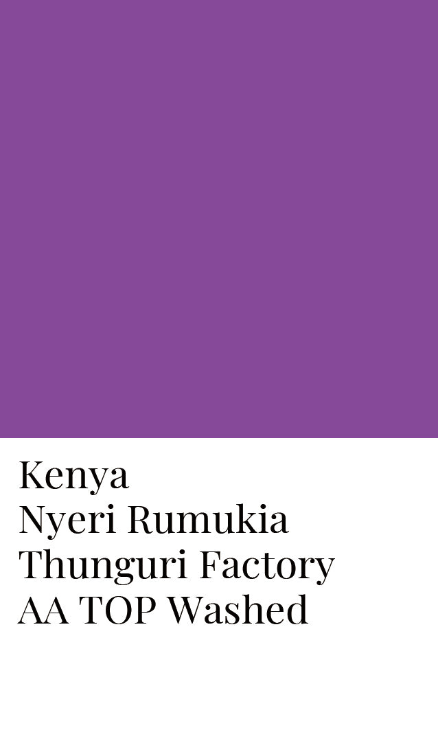 Kenya Nyeri Othaya FCS Gura Factory AA Top