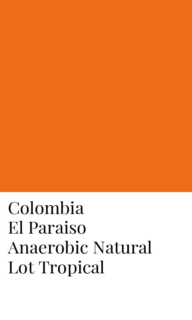 Colombia El Paraiso Anaerobic Fermenation Natural Lot Tropical