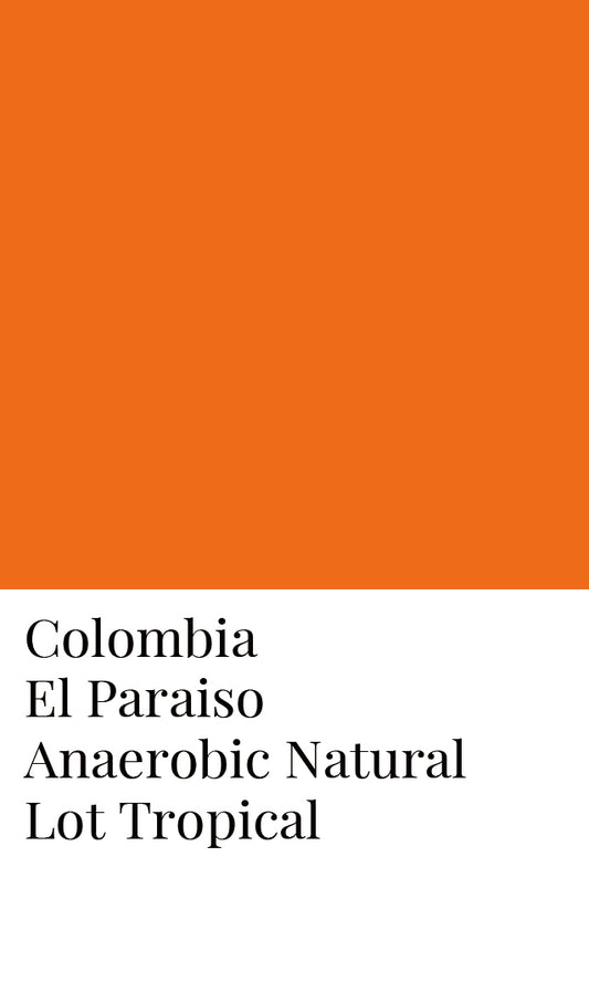โคลอมเบีย El Paraiso การหมักแบบไร้อากาศ Lot ธรรมชาติเขตร้อน 