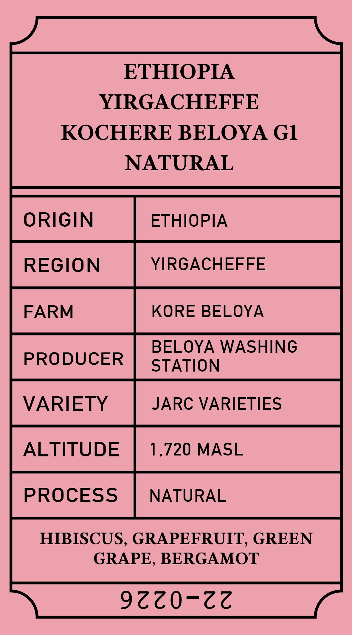 coffee bean Ethiopia Kochere Beloya G1 Natural