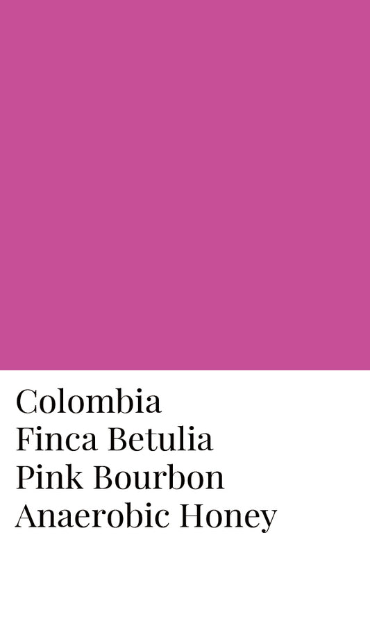 โคลอมเบีย Finca Betulia Pink Bourbon Anaerobic