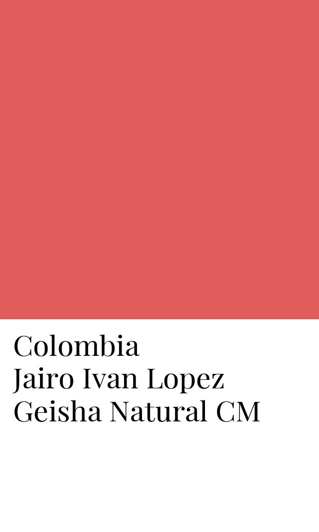 Colombia La Estrella Jairo Ivan Lopez Geisha