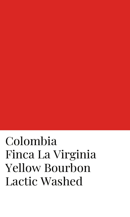 Colombia Finca La Virginia Yellow Bourbon Lactic Washed specialty coffee label