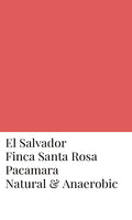 El Salvador Finca Santa Rosa Pacamara