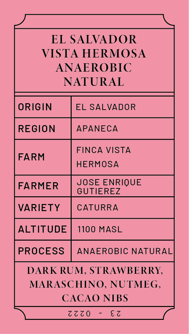 El Salvador Finca Vista Hermosa Caturra Anaerobic Natural