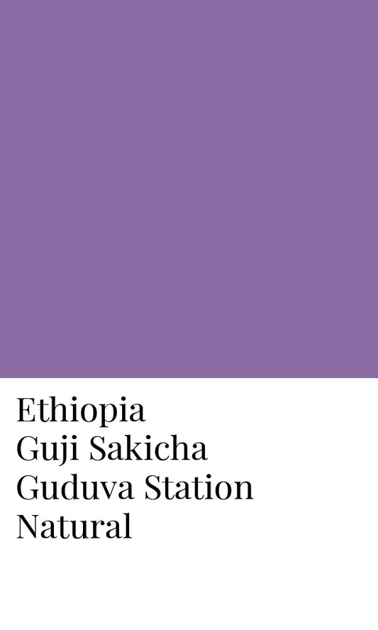 เอธิโอเปีย Guji Sakicha Guduva Natural