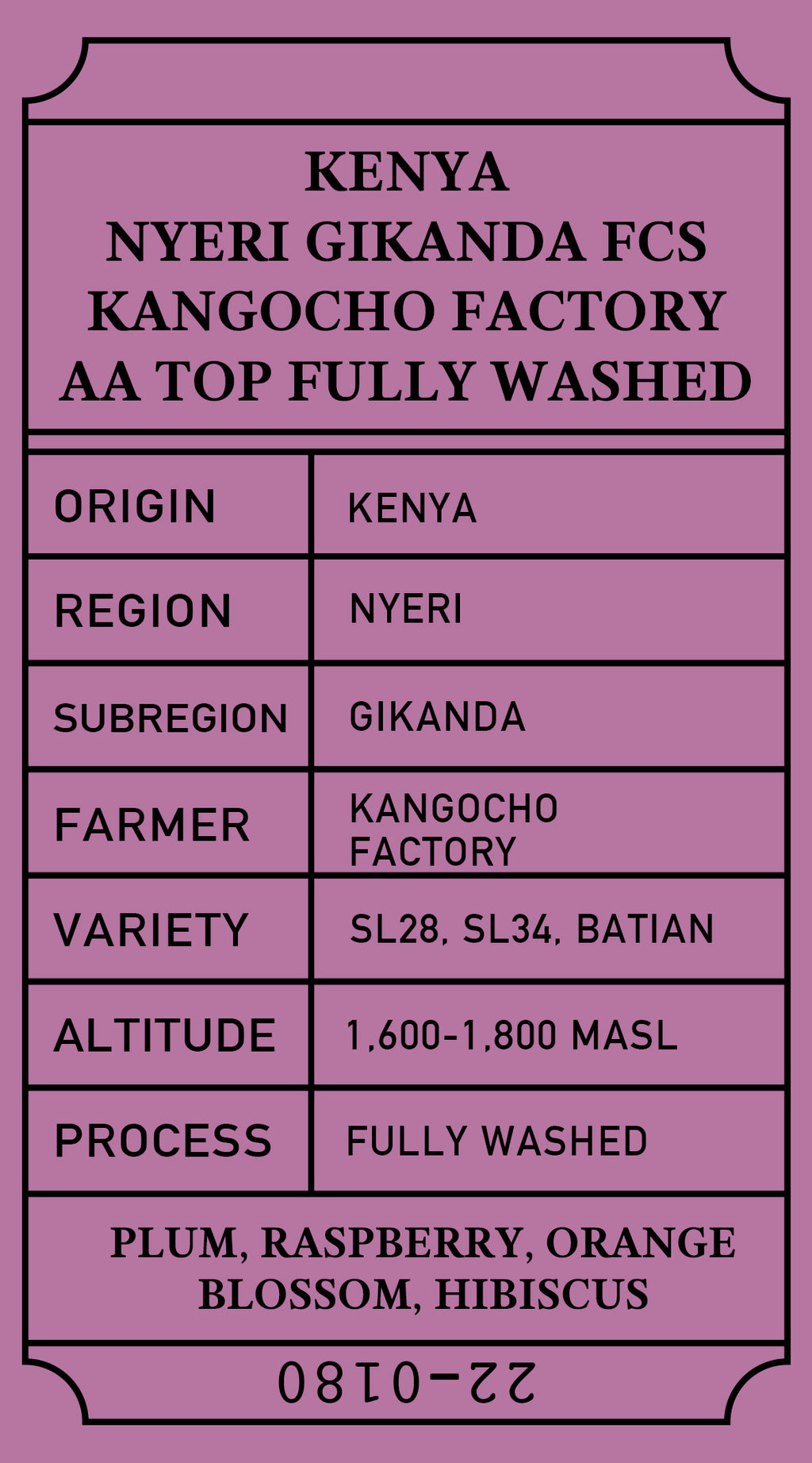 Kenya Nyeri Gikanda FCS Kangocho Factory AA TOP