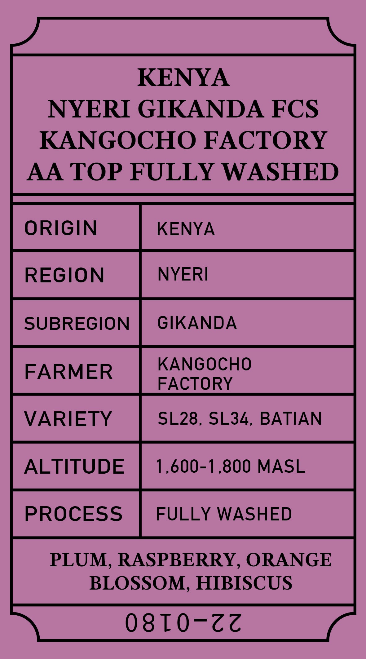 Kenya Nyeri Gikanda FCS Kangocho Factory AA TOP