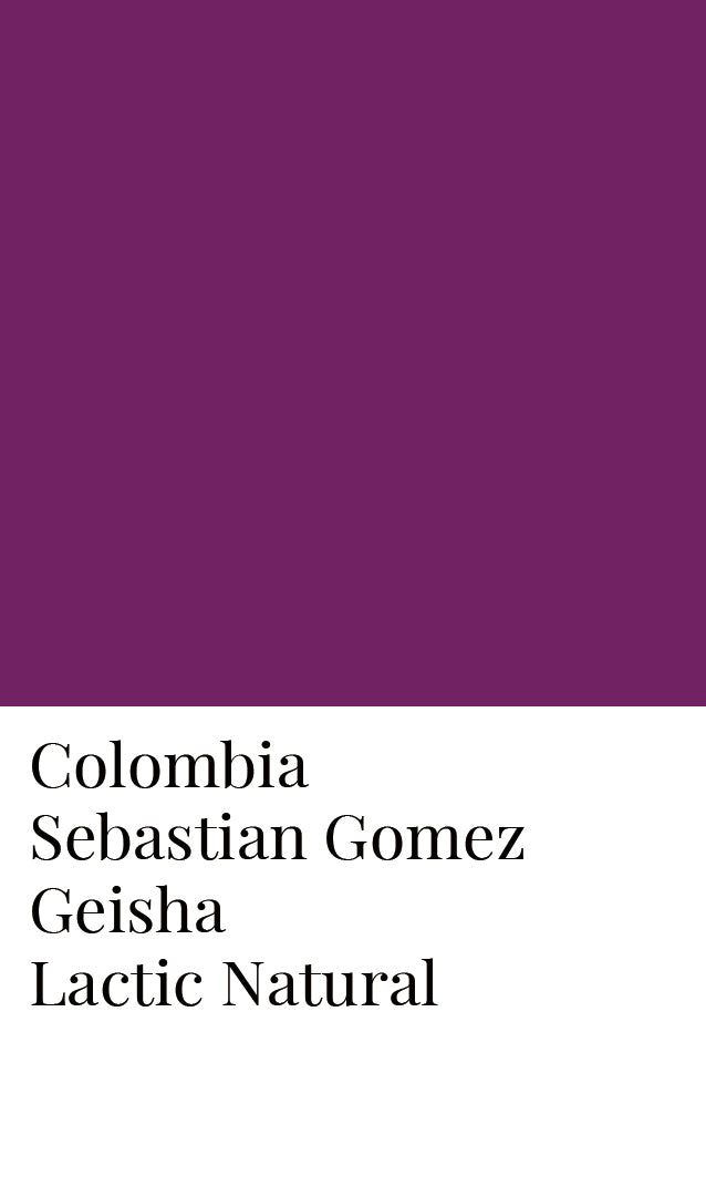 Colombia Sebastian Gomez Lactic Geisha Natural