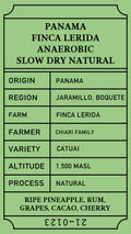 Panama Lerida ASD Natural