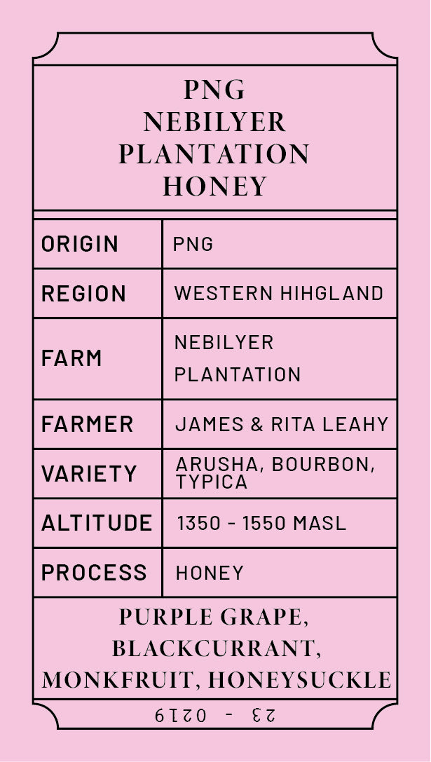 PNG Nebilyer Plantation Honey