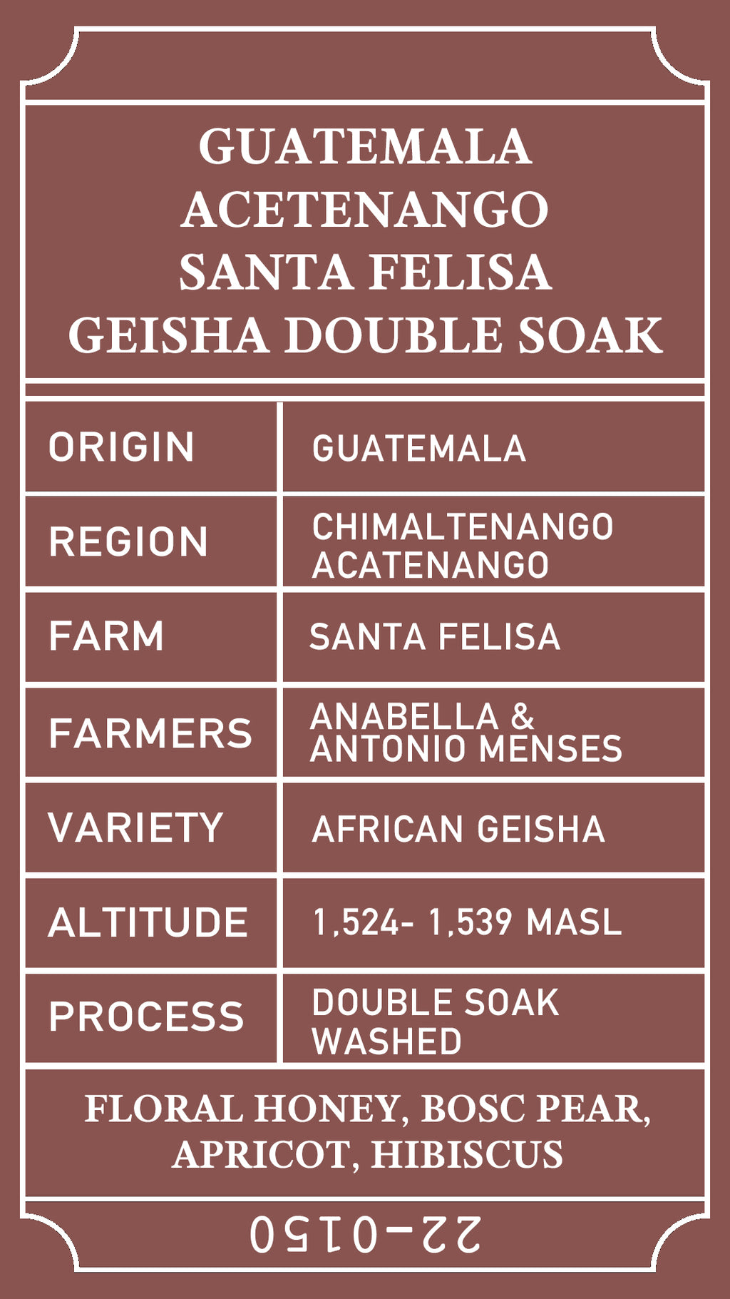 Guatemala Santa Felisa African Geisha Double Soak Washed
